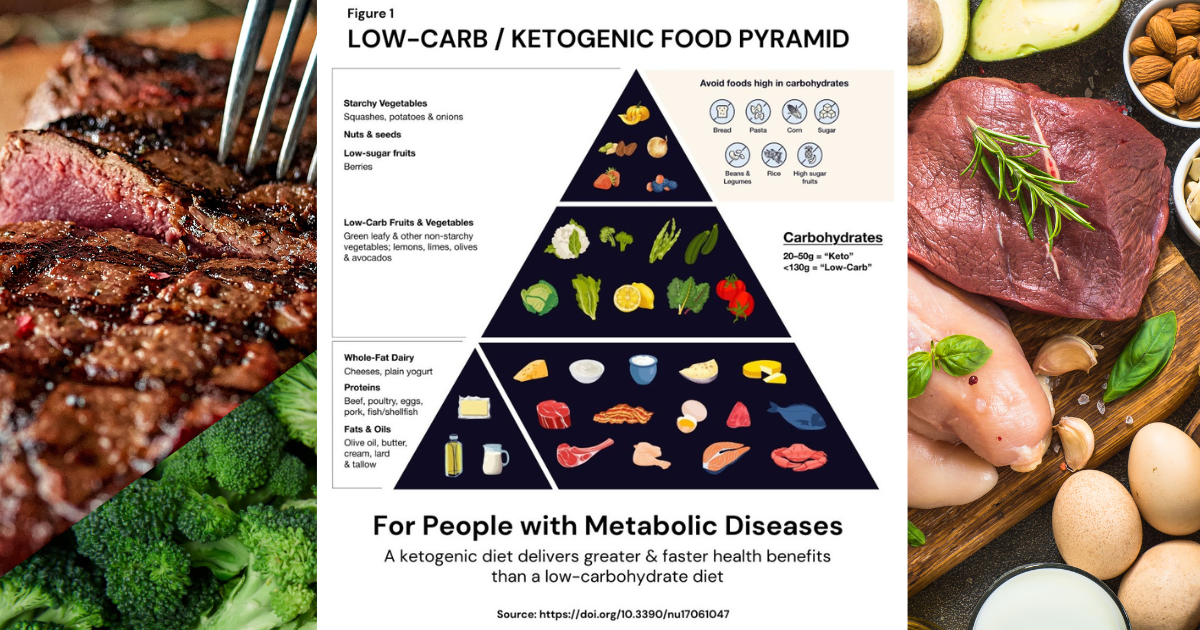 what-is-food-pyramid-explain-through-a-charter-infoupdate